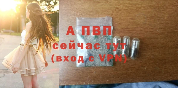 apvp Белокуриха