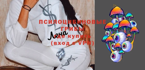 apvp Белокуриха