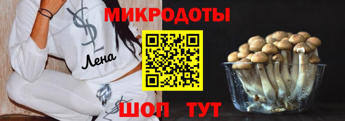 Псилоцибиновые грибы Cubensis Борисоглебск